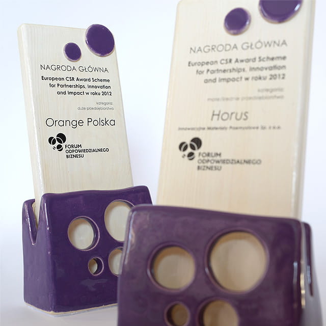 CSR Award.jpg