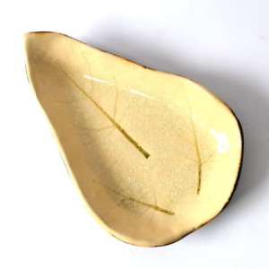 patera-lisc1.jpg