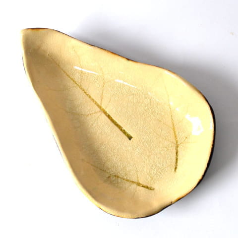 patera-lisc1.jpg