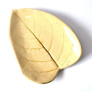 patera-lisc2.jpg