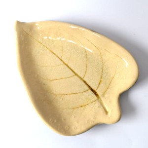 patera-lisc3.jpg
