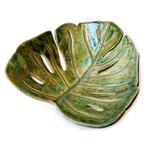 patera-monstera.jpg