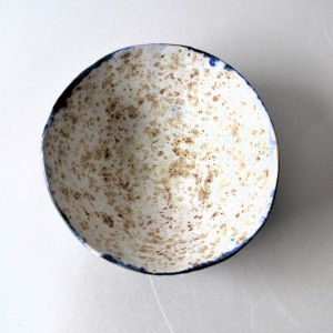 4090.jpg