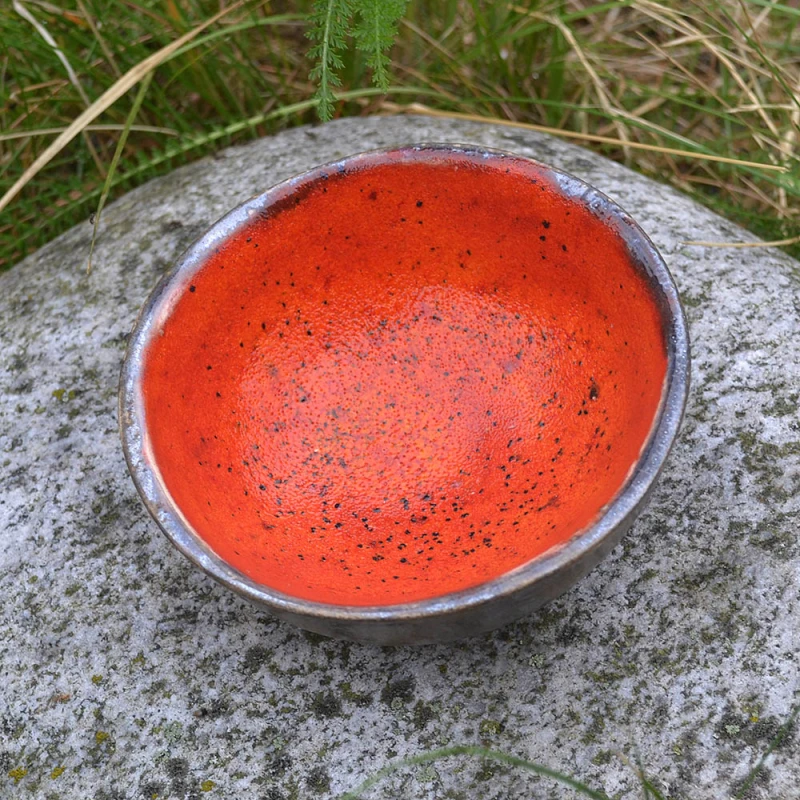 DSC_0969.JPG