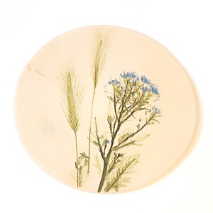 1738589433007 (1).jpg